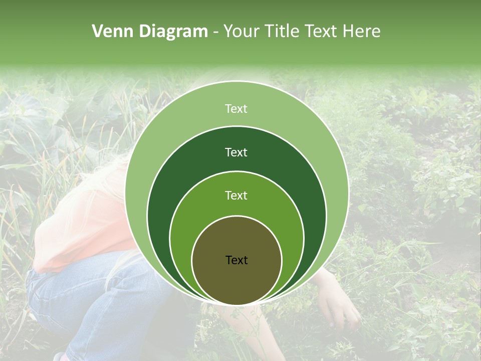 German Caldarium Ancient PowerPoint Template