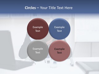 Danger Bush Acari PowerPoint Template