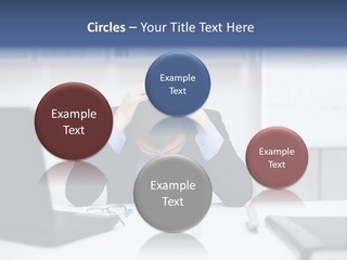 Danger Bush Acari PowerPoint Template