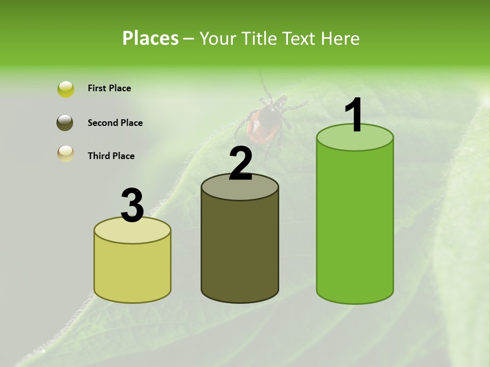 Danger Bush Acari PowerPoint Template