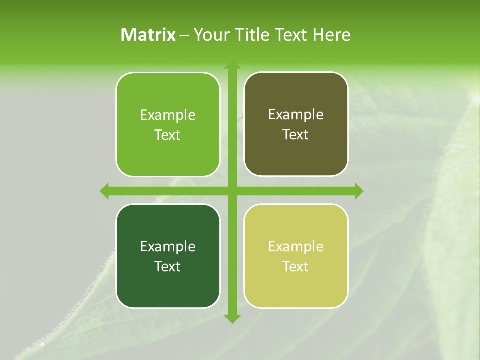 Danger Bush Acari PowerPoint Template