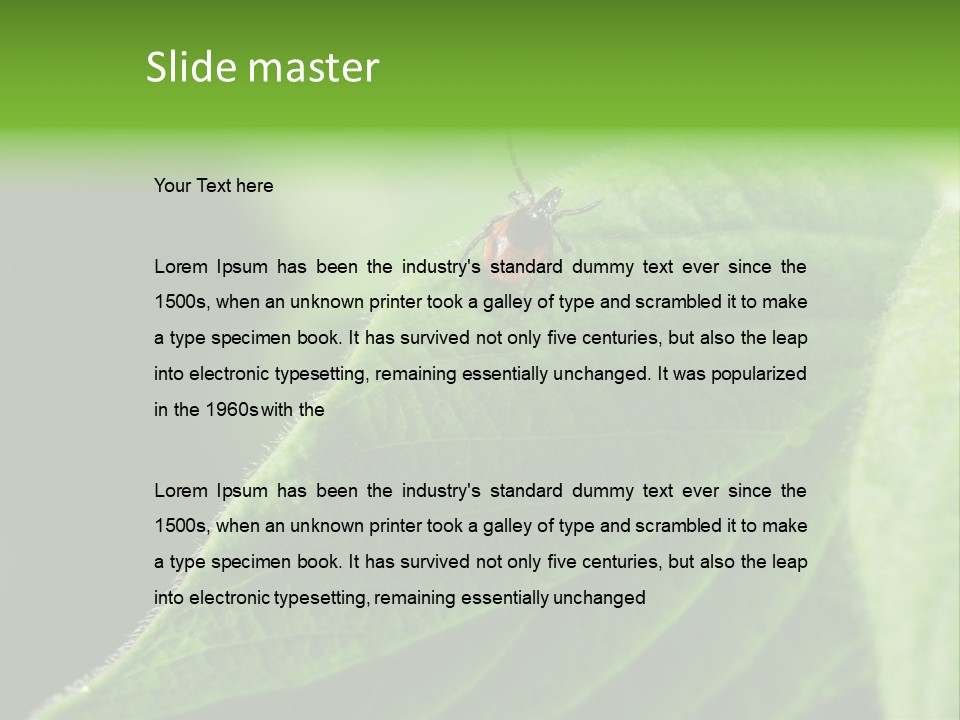 Danger Bush Acari PowerPoint Template