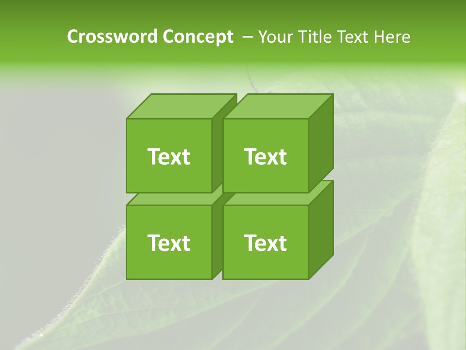 Danger Bush Acari PowerPoint Template