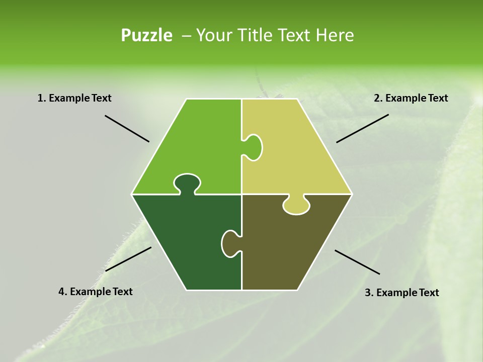 Danger Bush Acari PowerPoint Template