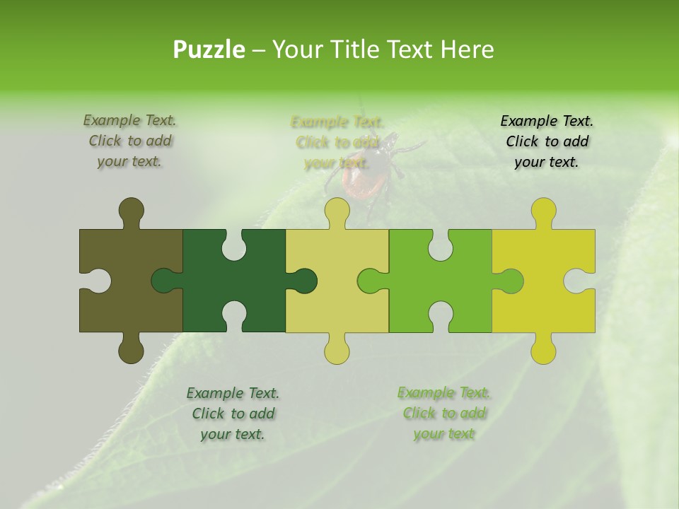 Danger Bush Acari PowerPoint Template