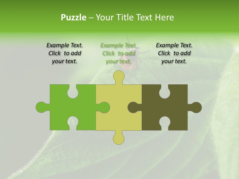 Danger Bush Acari PowerPoint Template