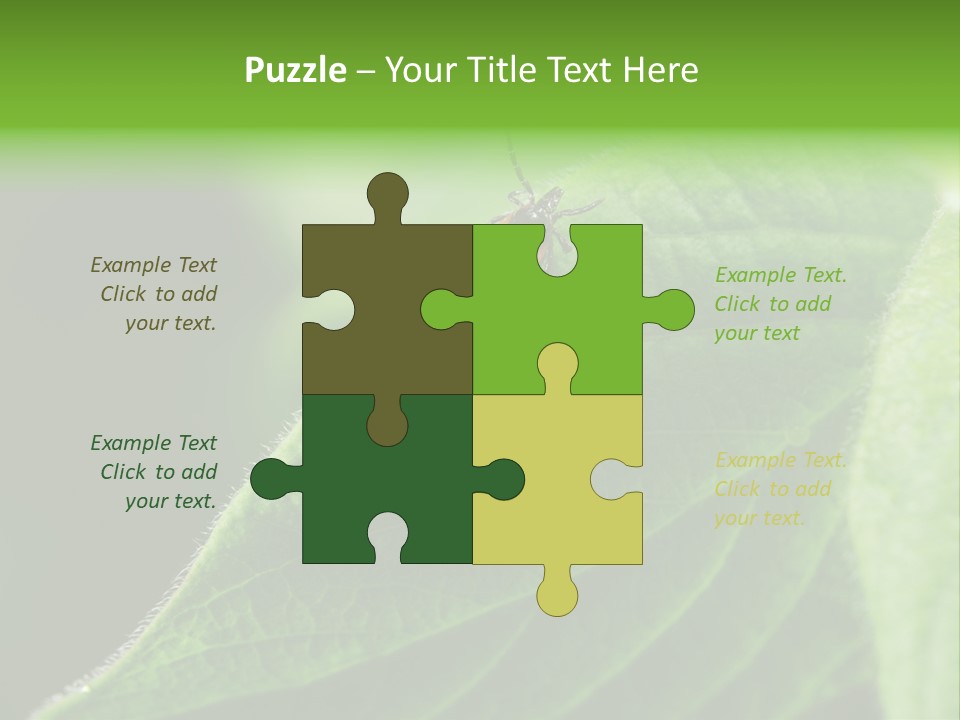 Danger Bush Acari PowerPoint Template