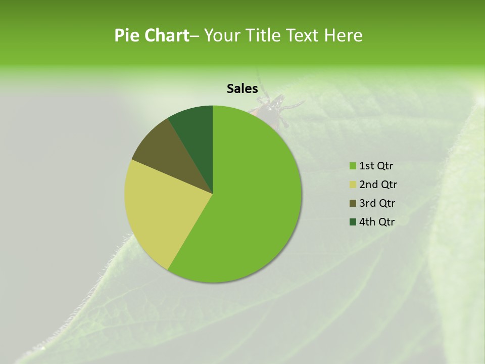 Danger Bush Acari PowerPoint Template