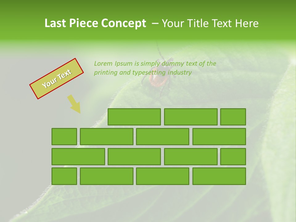 Danger Bush Acari PowerPoint Template