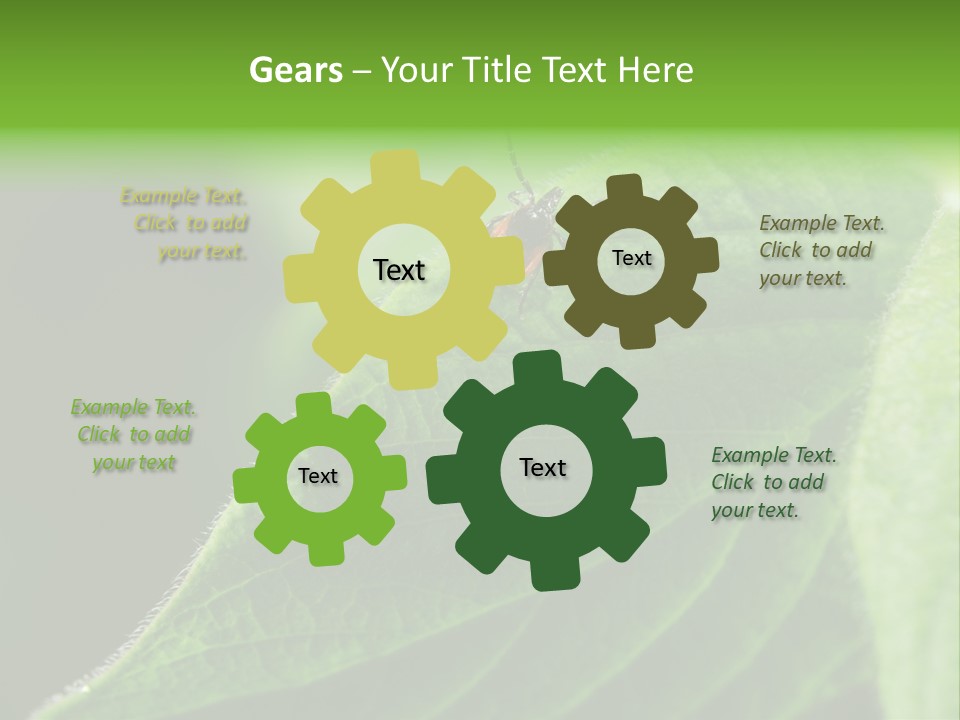 Danger Bush Acari PowerPoint Template