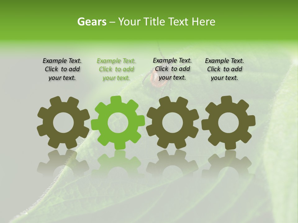 Danger Bush Acari PowerPoint Template