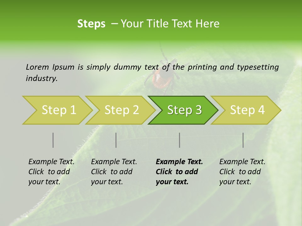 Danger Bush Acari PowerPoint Template