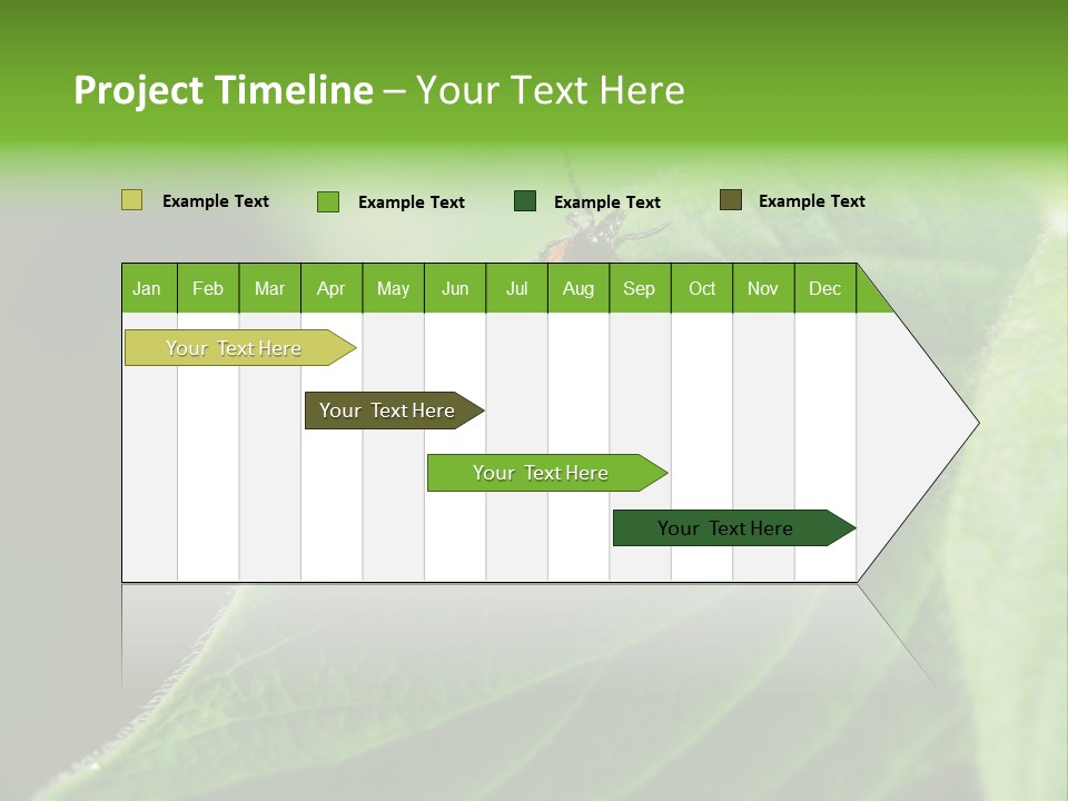 Danger Bush Acari PowerPoint Template