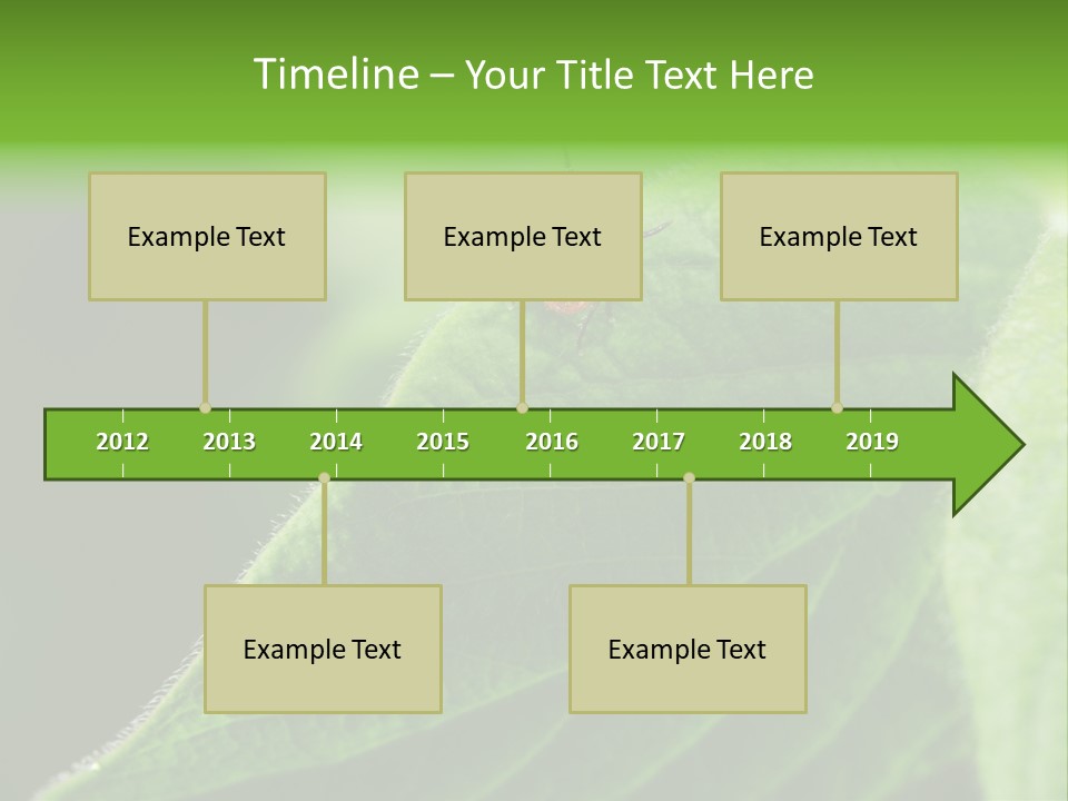 Danger Bush Acari PowerPoint Template