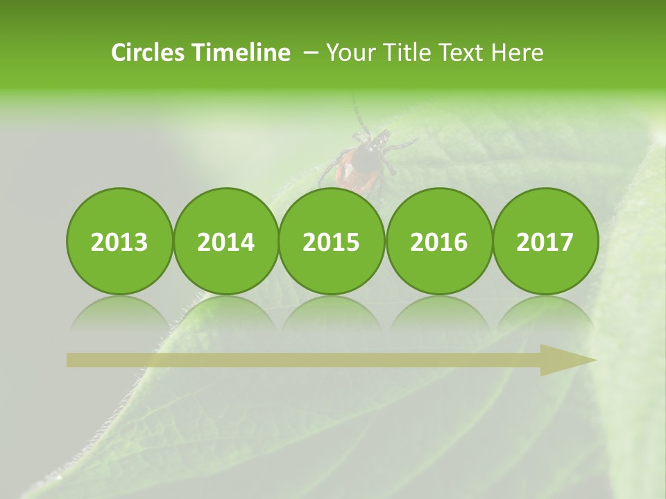 Danger Bush Acari PowerPoint Template