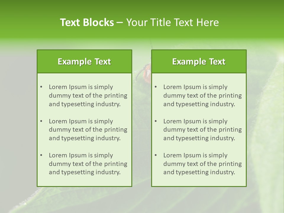 Danger Bush Acari PowerPoint Template