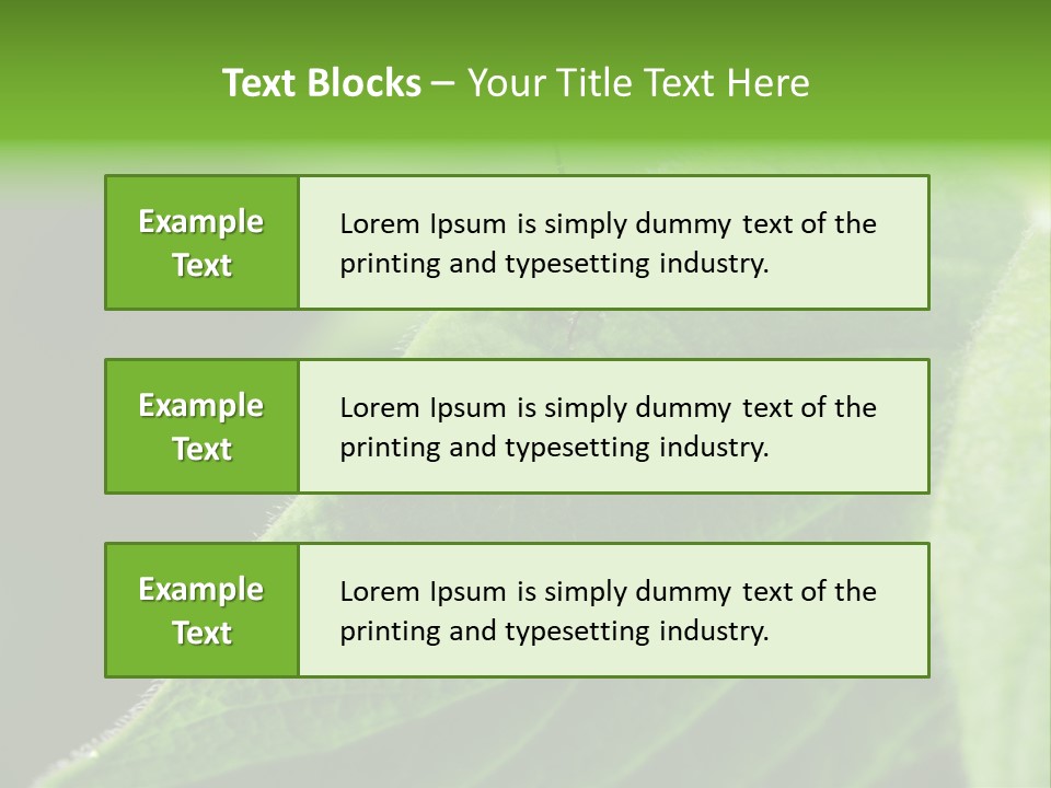 Danger Bush Acari PowerPoint Template