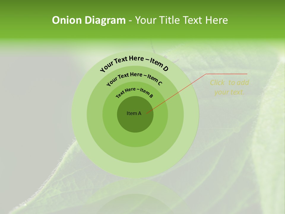 Danger Bush Acari PowerPoint Template