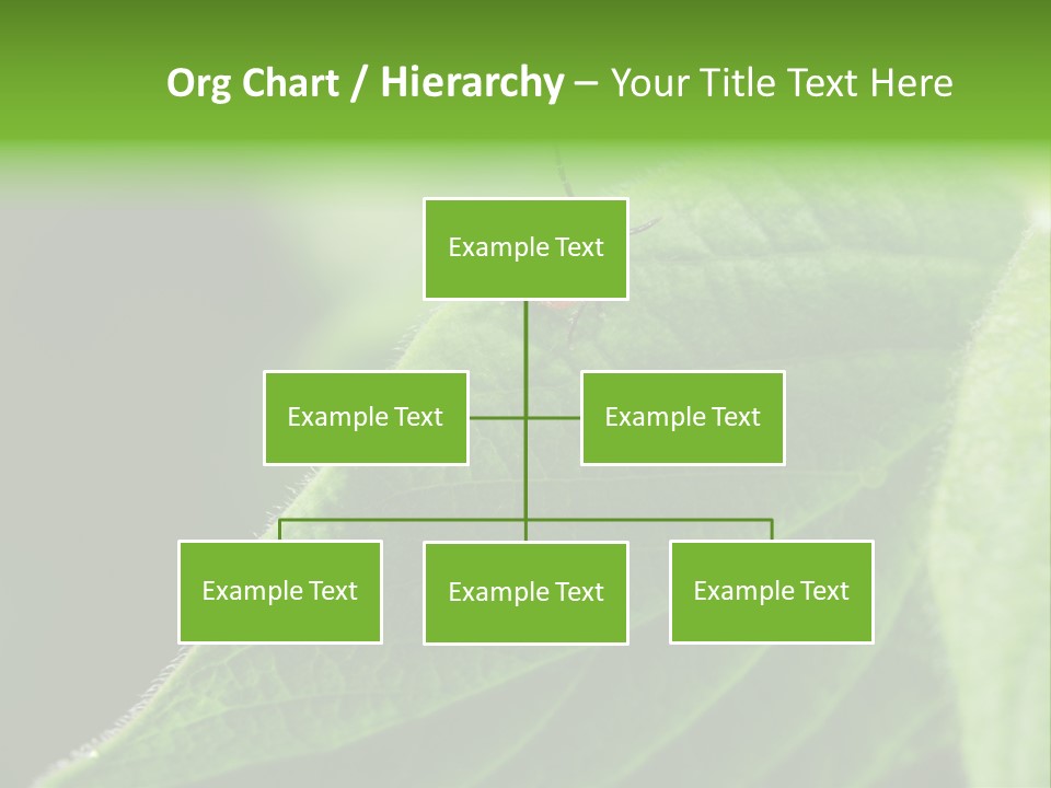 Danger Bush Acari PowerPoint Template
