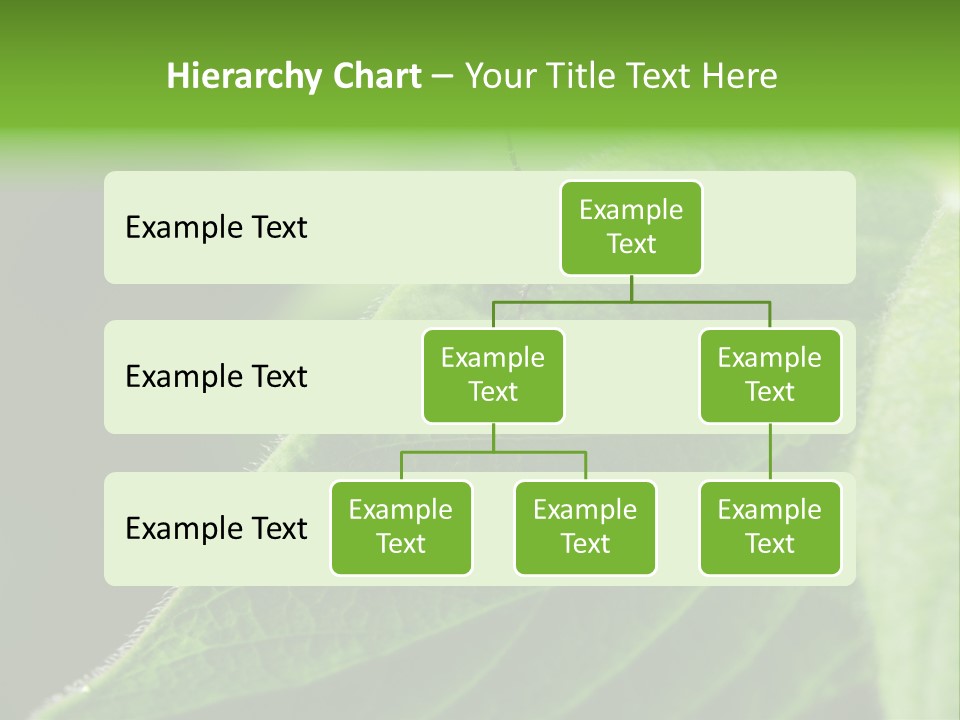 Danger Bush Acari PowerPoint Template