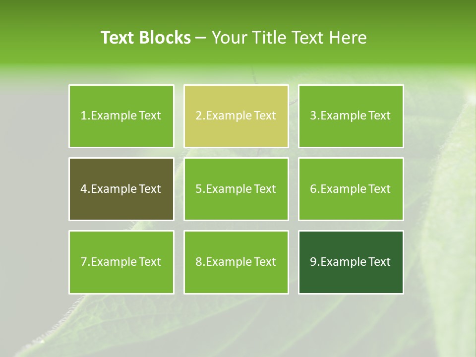 Danger Bush Acari PowerPoint Template