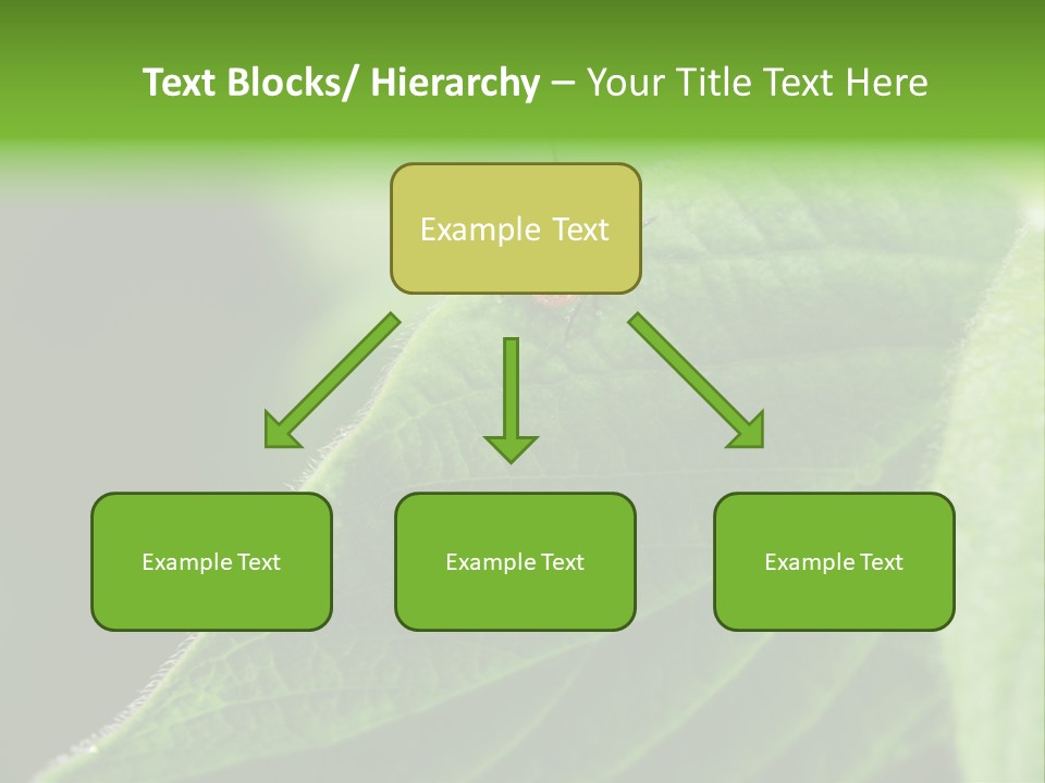 Danger Bush Acari PowerPoint Template