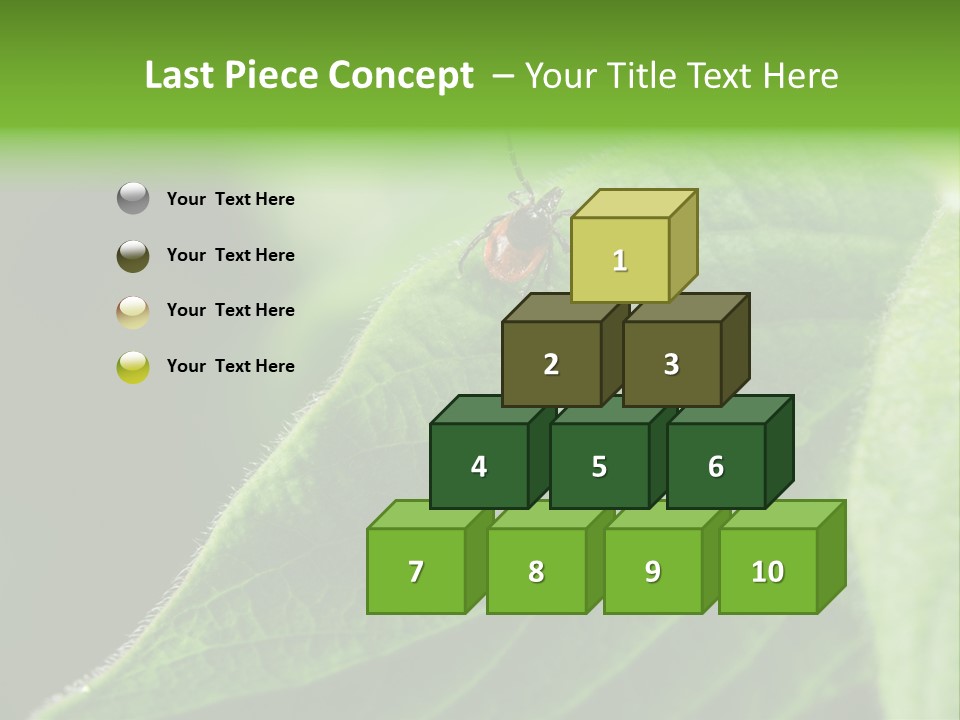 Danger Bush Acari PowerPoint Template