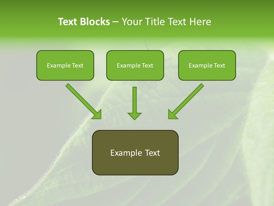 Danger Bush Acari PowerPoint Template