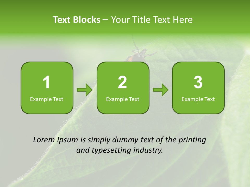 Danger Bush Acari PowerPoint Template
