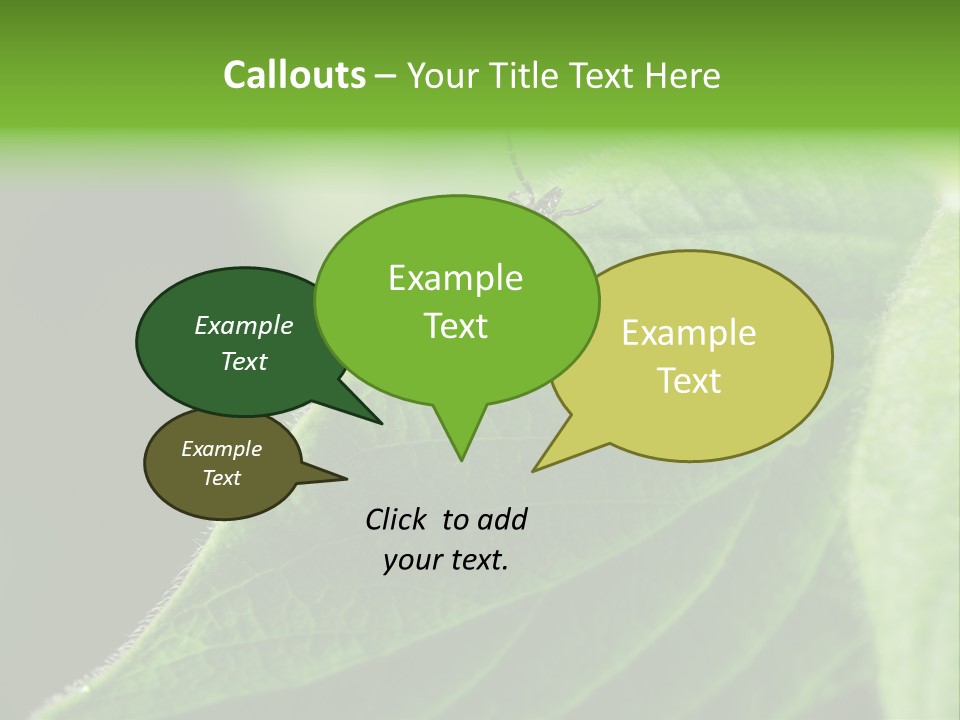 Danger Bush Acari PowerPoint Template