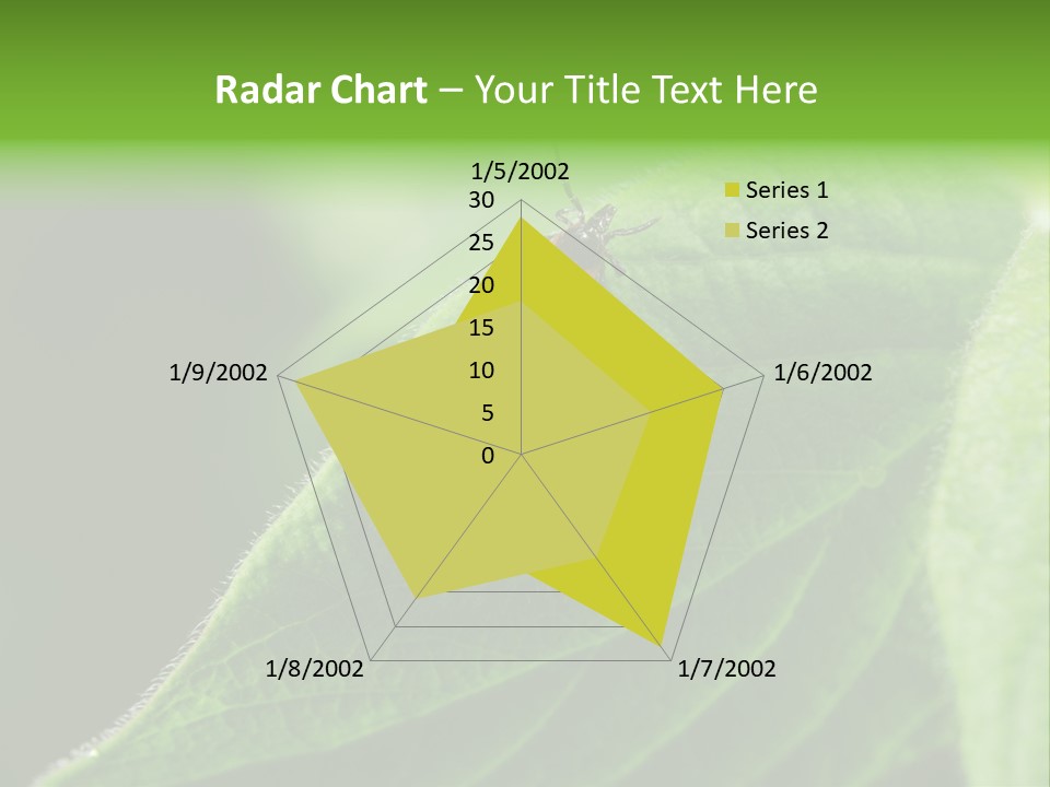 Danger Bush Acari PowerPoint Template