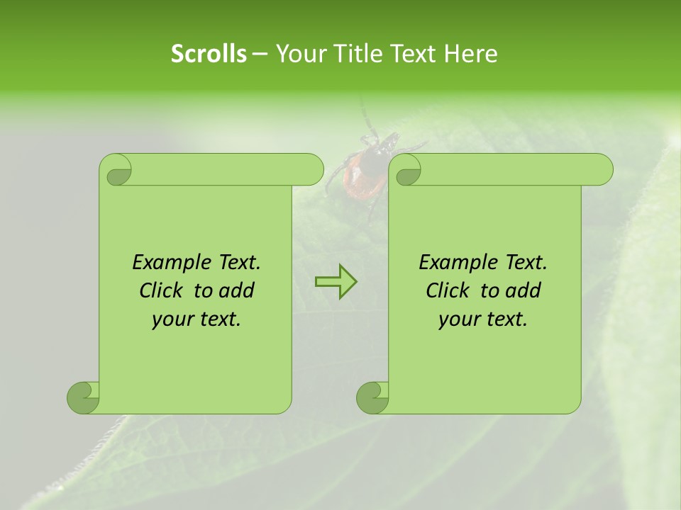 Danger Bush Acari PowerPoint Template