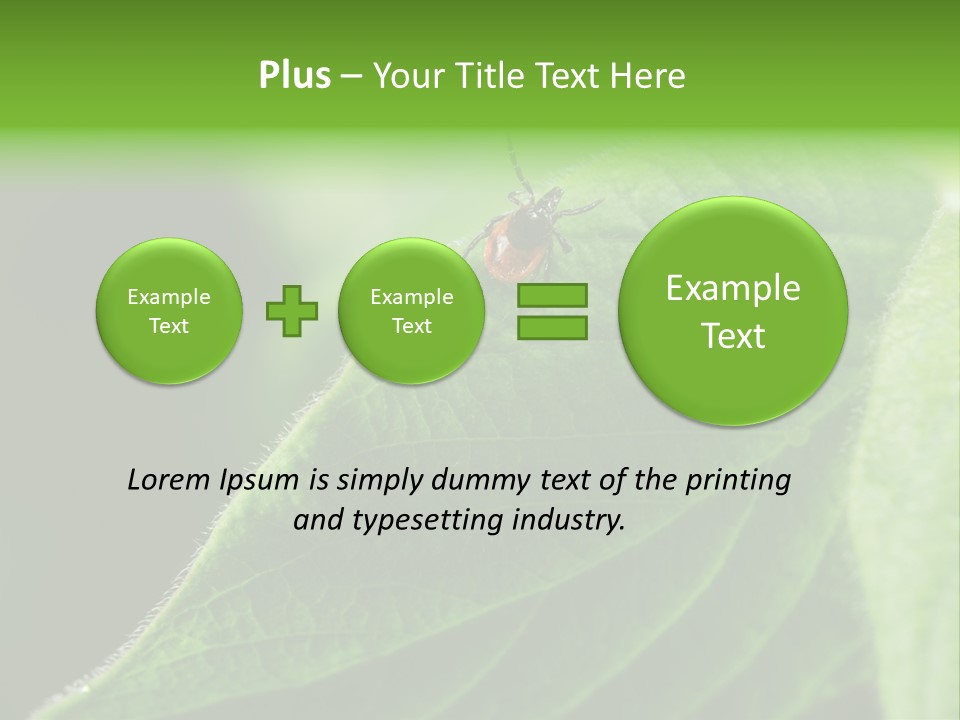 Danger Bush Acari PowerPoint Template