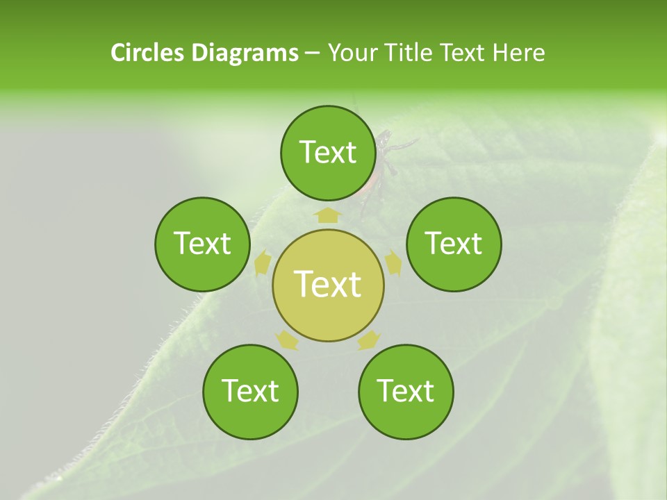 Danger Bush Acari PowerPoint Template