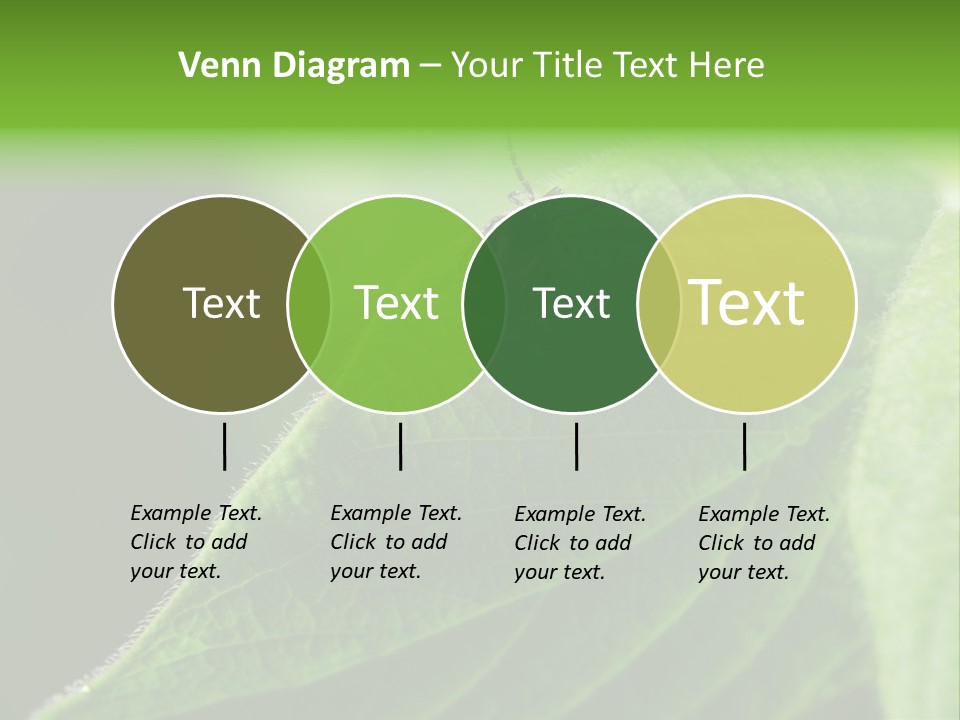 Danger Bush Acari PowerPoint Template