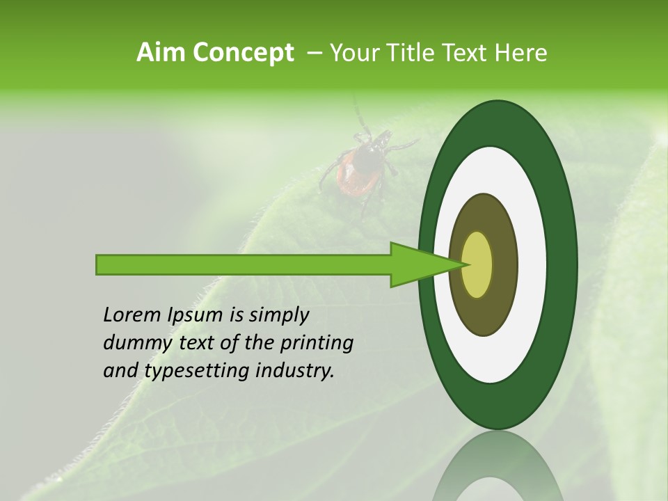 Danger Bush Acari PowerPoint Template