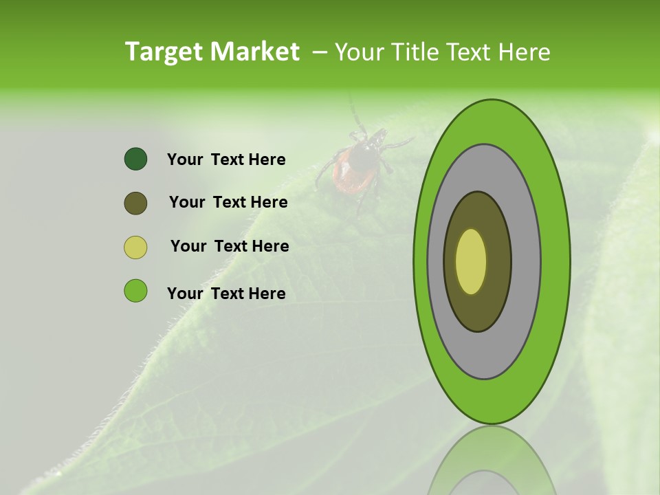 Danger Bush Acari PowerPoint Template