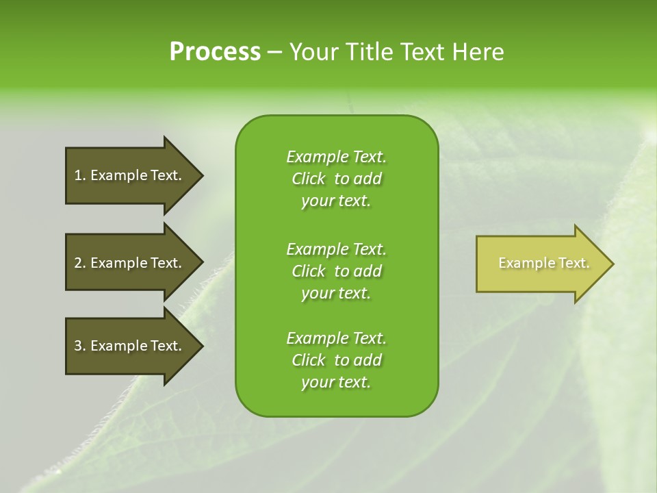 Danger Bush Acari PowerPoint Template