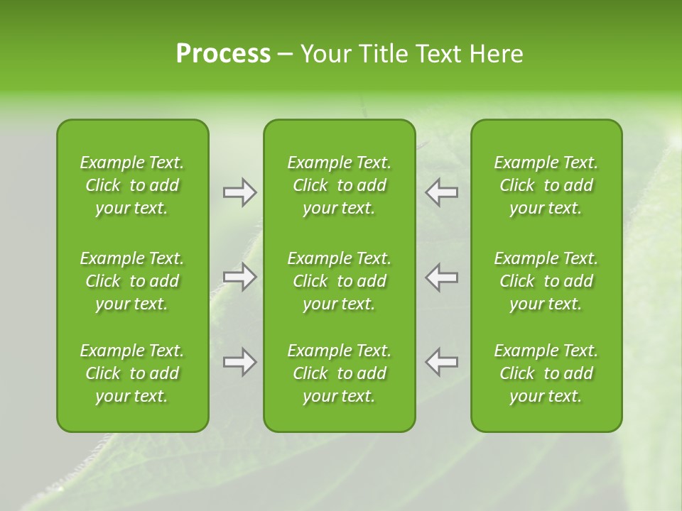 Danger Bush Acari PowerPoint Template