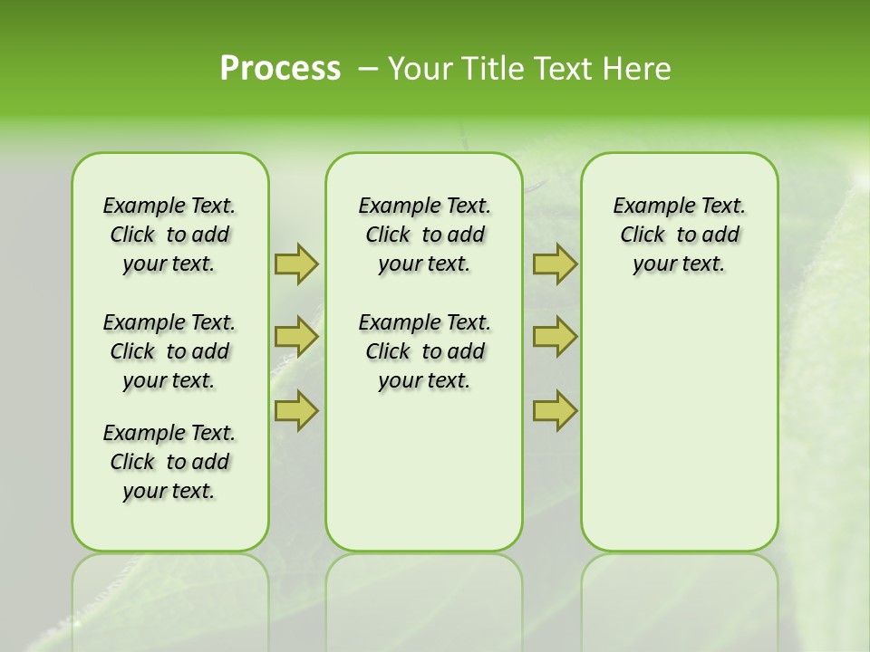 Danger Bush Acari PowerPoint Template
