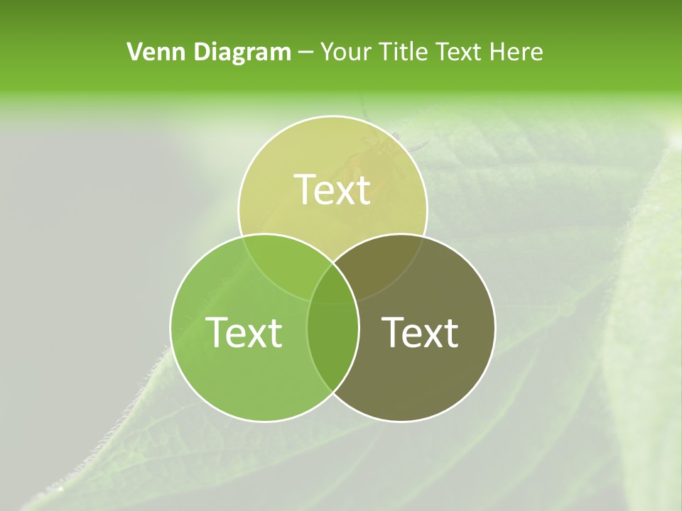 Danger Bush Acari PowerPoint Template