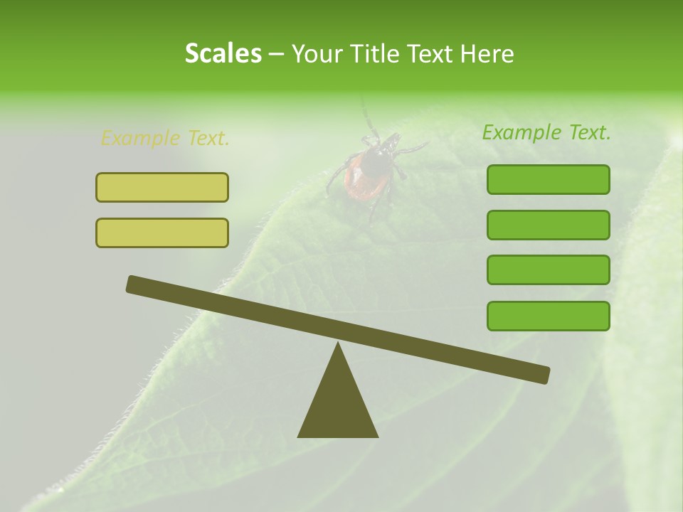 Danger Bush Acari PowerPoint Template