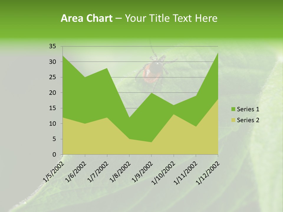 Danger Bush Acari PowerPoint Template