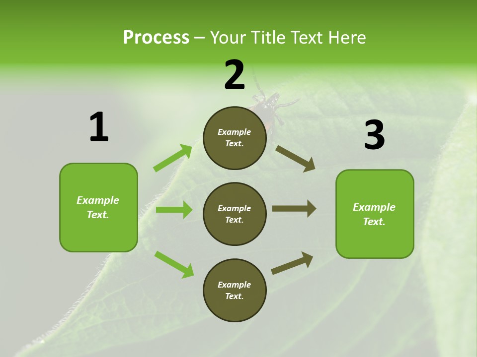 Danger Bush Acari PowerPoint Template