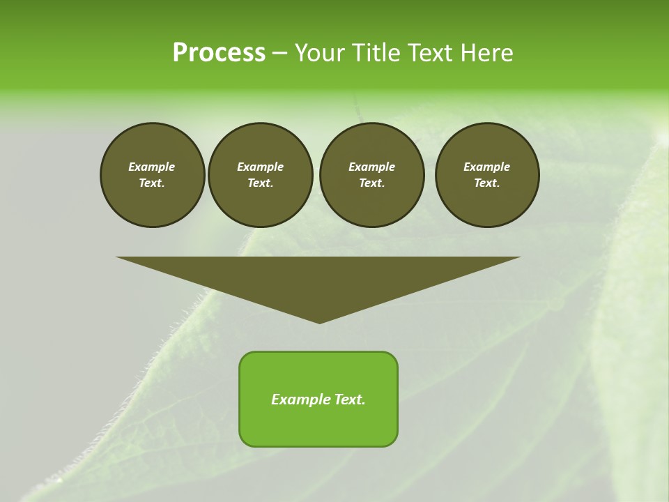 Danger Bush Acari PowerPoint Template