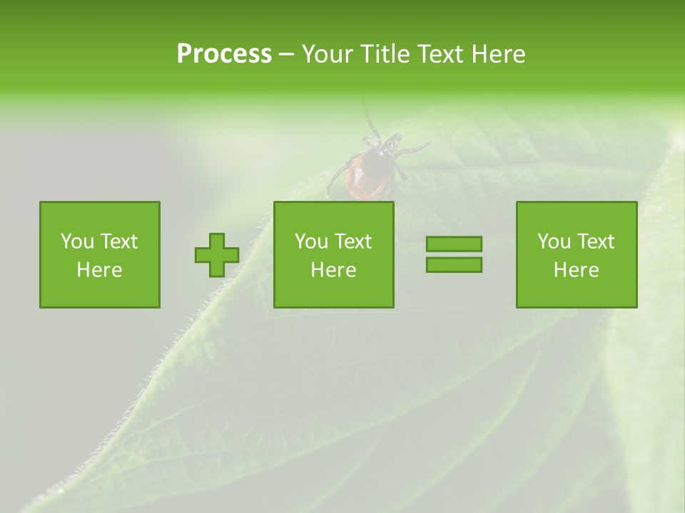 Danger Bush Acari PowerPoint Template