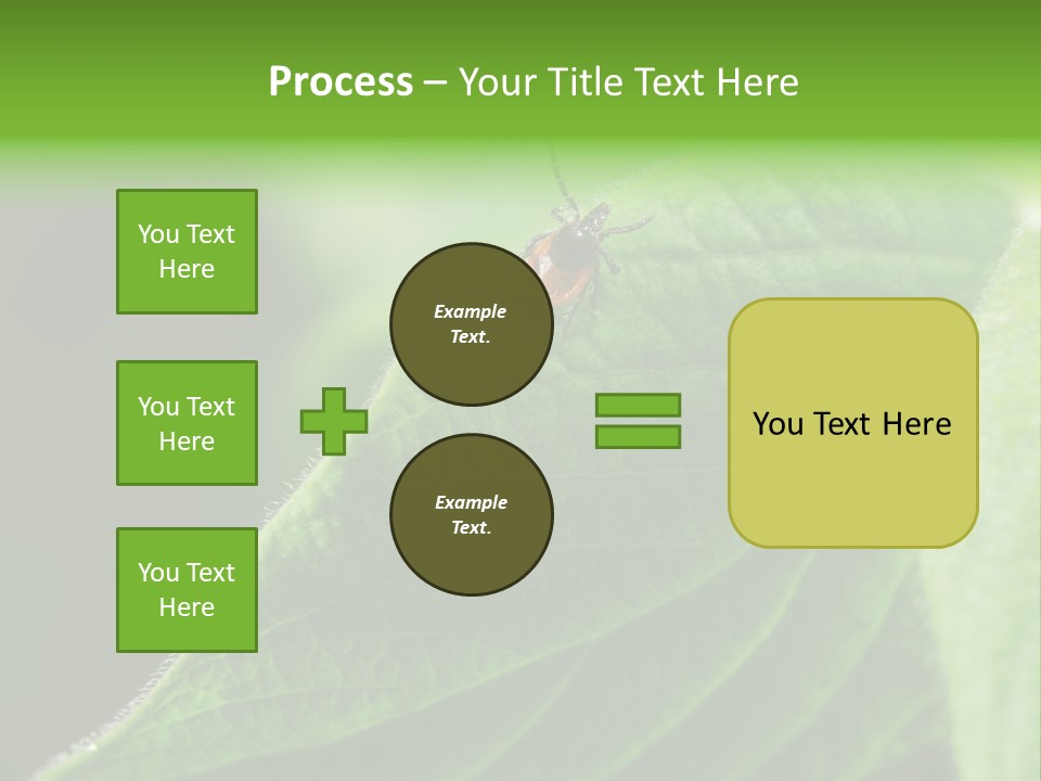 Danger Bush Acari PowerPoint Template