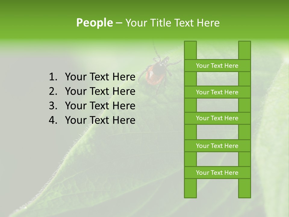 Danger Bush Acari PowerPoint Template