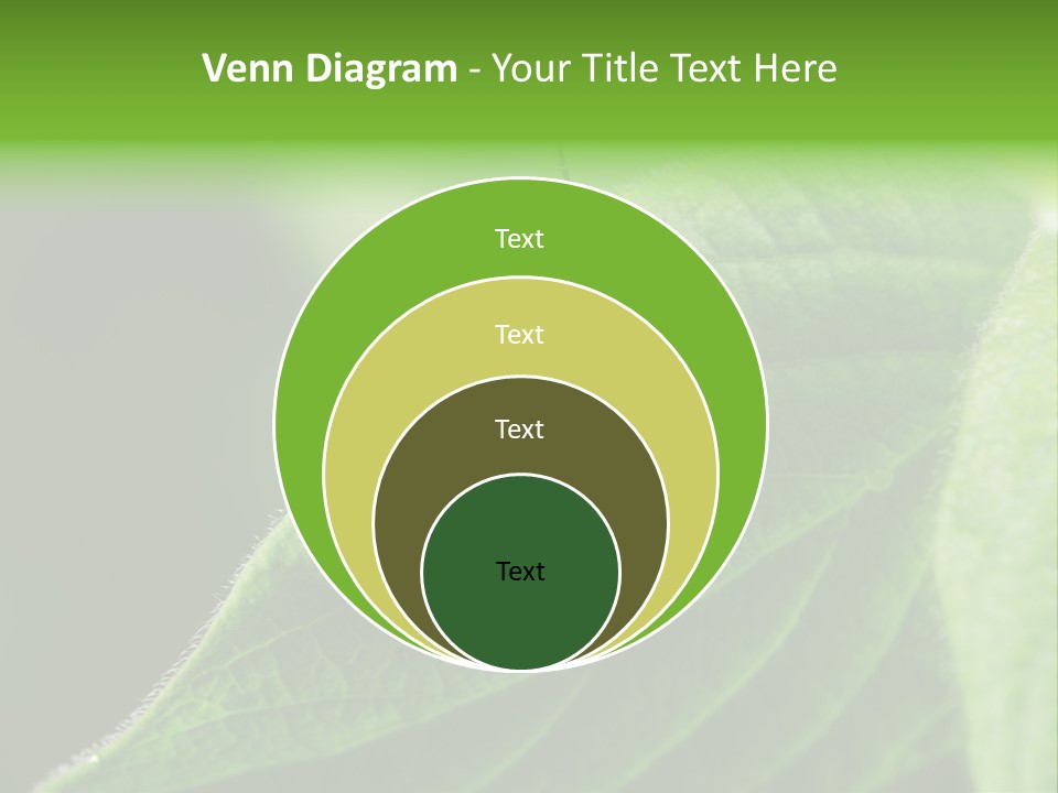 Danger Bush Acari PowerPoint Template