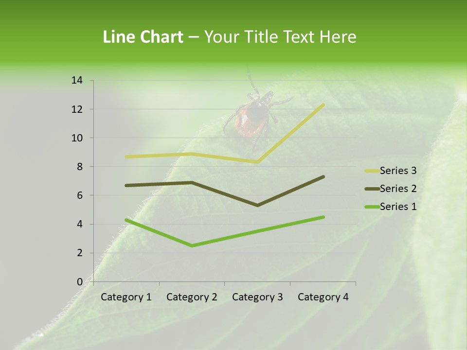 Danger Bush Acari PowerPoint Template